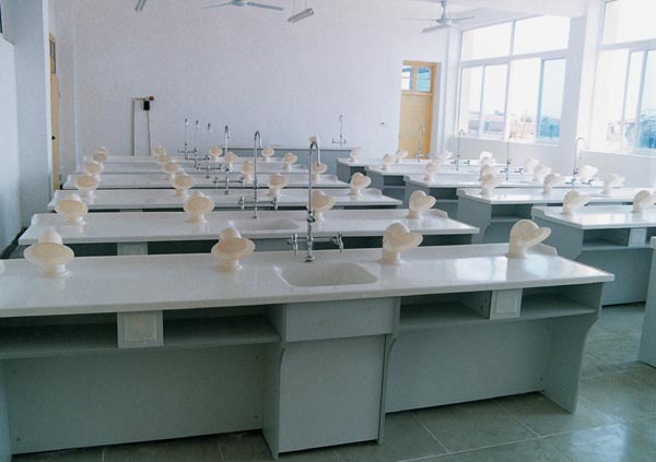 化學(xué)實(shí)驗(yàn)室設(shè)備