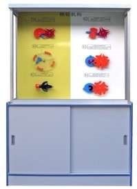 �Cе������й�