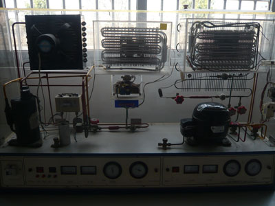 �����Ɵግ(sh��)Ӗ(x��n)��